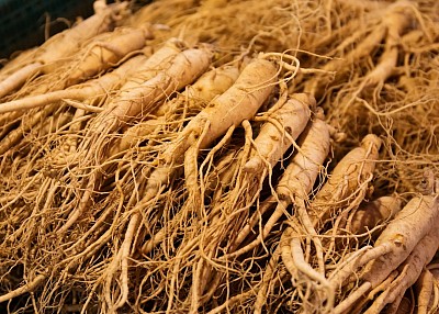 Herbs
